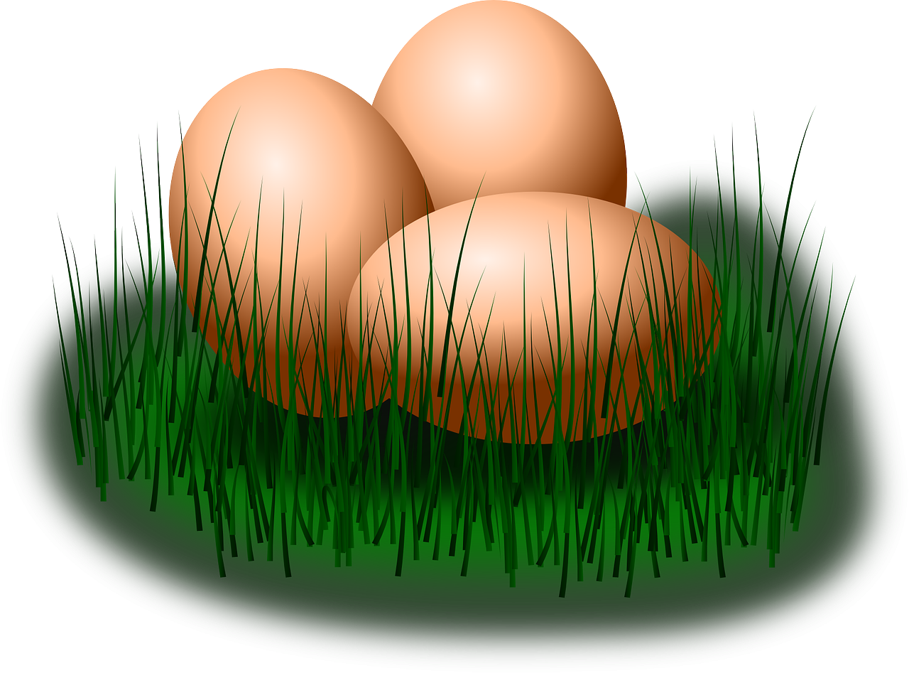 Dairy & Eggs
